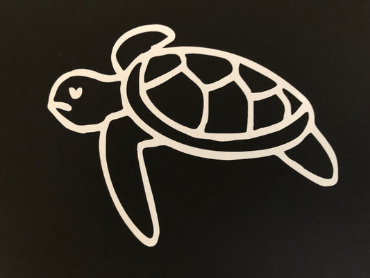 Sea Turtle Profile