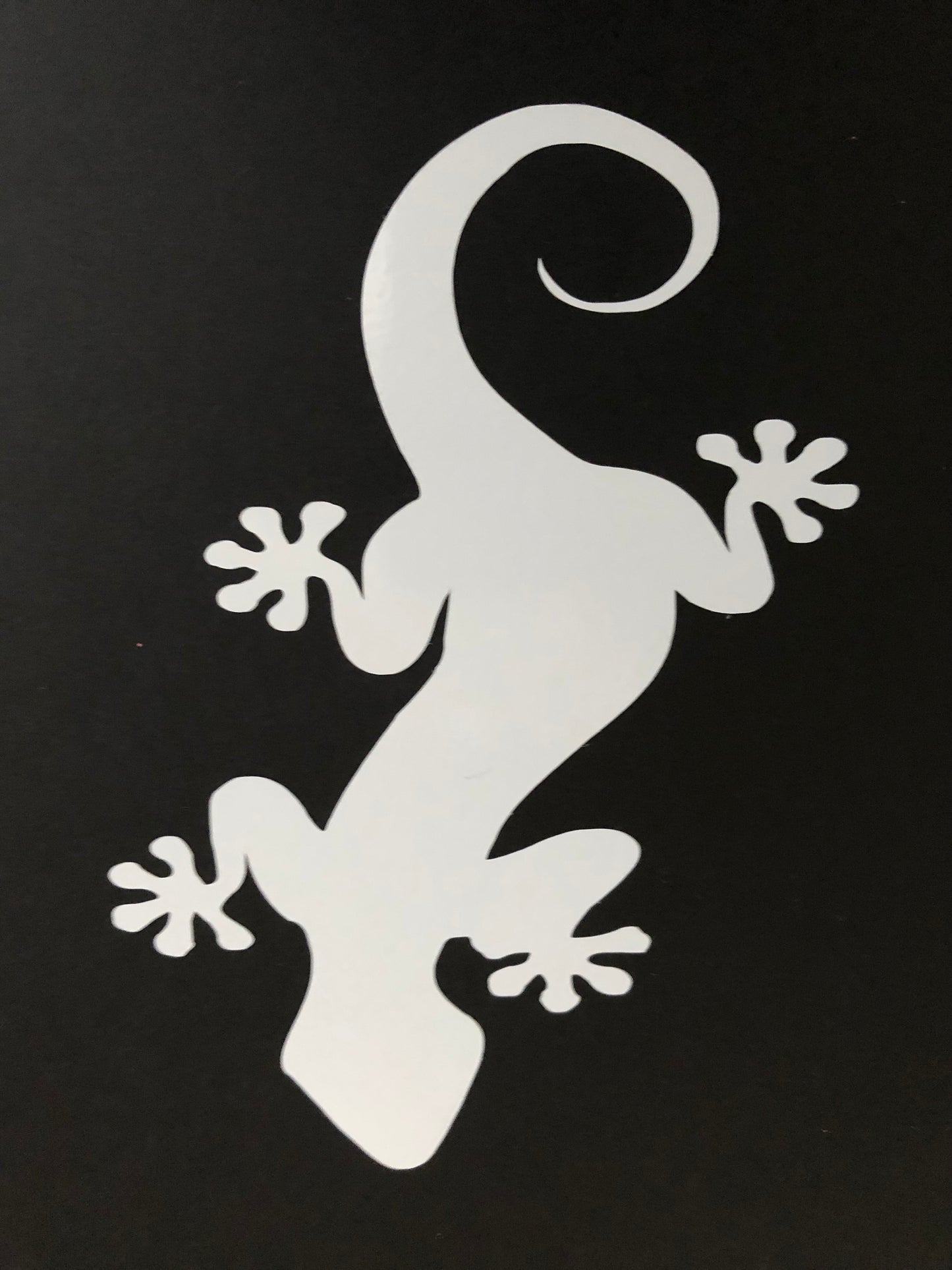 Gecko